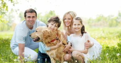 Узнайте, как выбрать собаку для семьи, которая будет хорошо дать со всеми домочадцами и другими питомцами. Выбор породы зависит от вашего темперамента и образа жизни вашей семьи