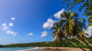 Гренаду часто рассматривают как альтернативу таким известным островам, как Барбадос, но ее пляжи, окаймленные пальмами, – одни из лучших