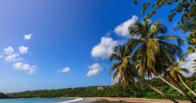 Гренаду часто рассматривают как альтернативу таким известным островам, как Барбадос, но ее пляжи, окаймленные пальмами, – одни из лучших