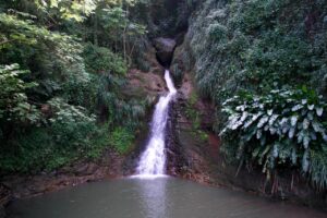 Отправляйтесь вглубь Гренады, в обширные тропические леса, где вас ждут пешеходные тропы и впечатляющие водопады