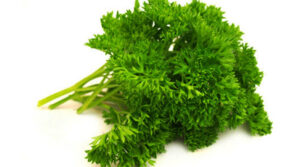 Кервель – однолетнее растение, относящееся к семейству петрушки. Это одна из самых популярных трав, используемых во французской кухне. Его аромат представляет собой мягкую смесь солодки и петрушки