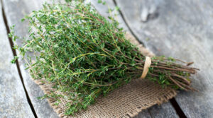 Тимьян – трава с острым вкусом, принадлежащая к семейству мятных. Маленькие нежные листья этой популярной средиземноморской травы используются в качестве приправ и ароматизаторов