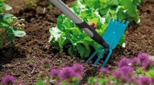 Неправильные садовые инструменты могут привести к разочарованию и напрасной трате усилий, в то время как правильные садовые инструменты могут помочь вам с легкостью сажать, пропалывать, поливать, подрезать и собирать урожай
