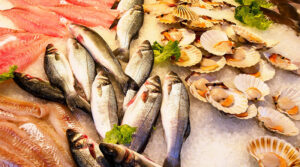Свежие морепродукты на рынке должны быть холодными и не пахнуть несвежей рыбой