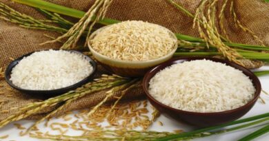Теперь, когда вы все это знаете, правильно храните вареный и сырой рис, чтобы вести здоровый образ жизни.