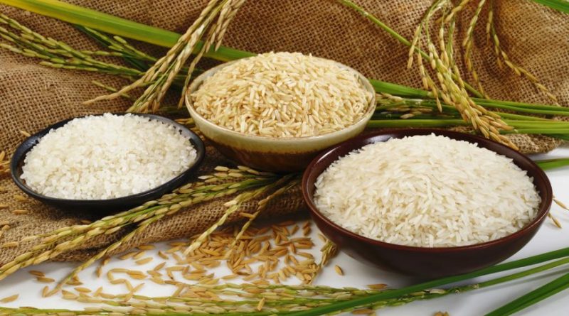 Теперь, когда вы все это знаете, правильно храните вареный и сырой рис, чтобы вести здоровый образ жизни.