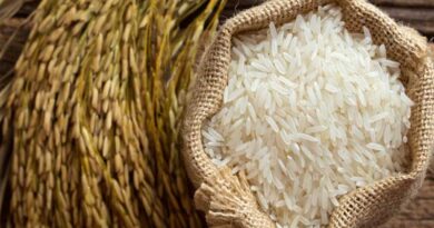 Аналогичным образом вы также можете добавить несколько зерен риса в солонку, чтобы предотвратить образование комочков